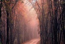 挪威全队备战波兰欧洲杯资格赛，实力崛起备受瞩目