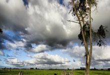 开拓者球队战绩不佳，眼下难副