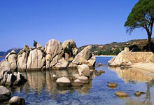 马德里德比战，皇马再次战胜竞争对手