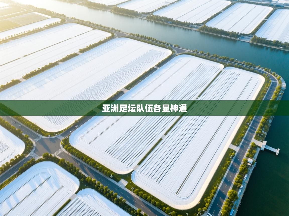 亚洲足坛队伍各显神通  第1张