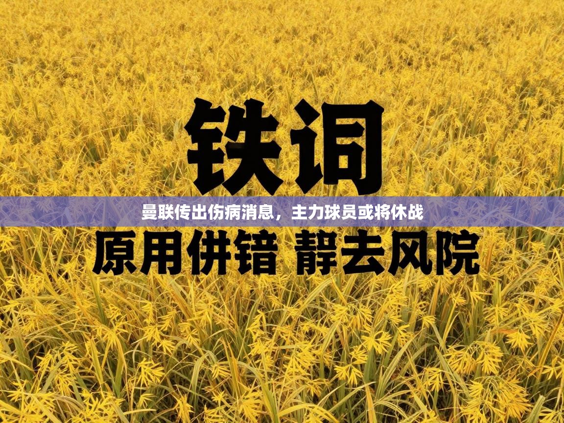 曼联传出伤病消息,主力球员或将休战 第1张
